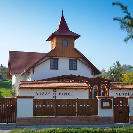 Buzas Pince Vendeghaz Hotel Ecsed Bagian luar foto